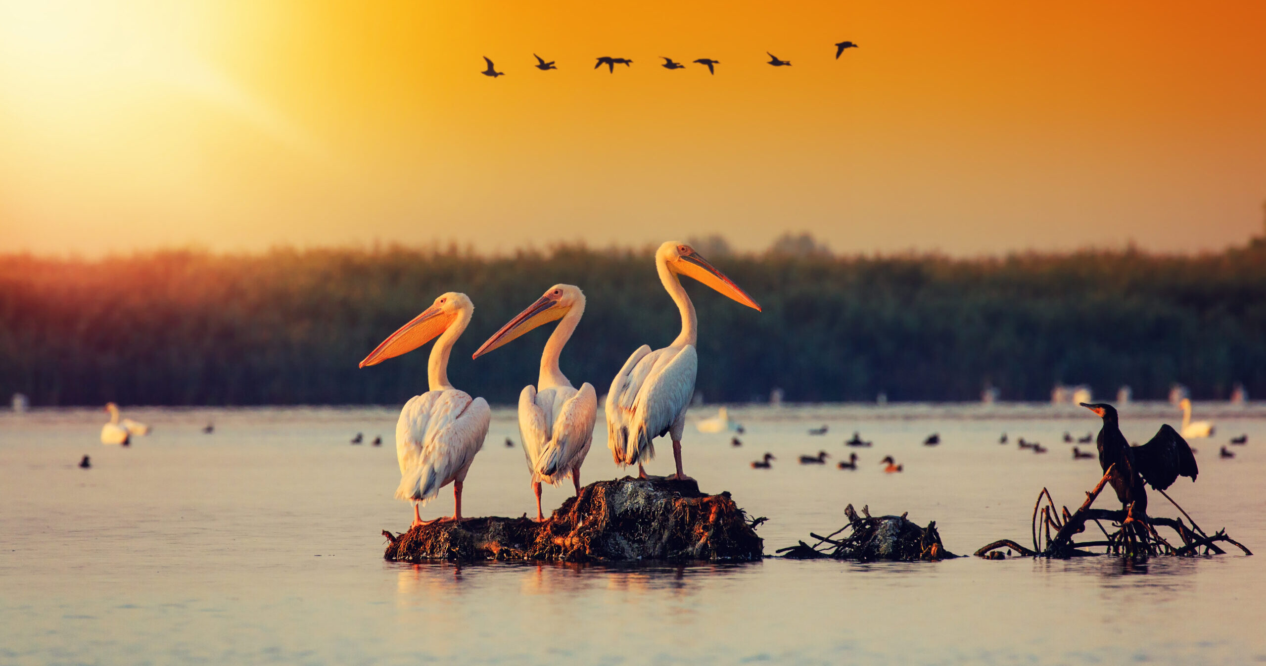 cropped-iStock-1221990915-scaled-1.jpg