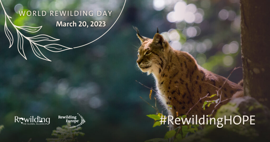 World Rewilding Day 2023 - #RewildingHOPE