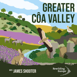 Greater Coa Valley podcast logo