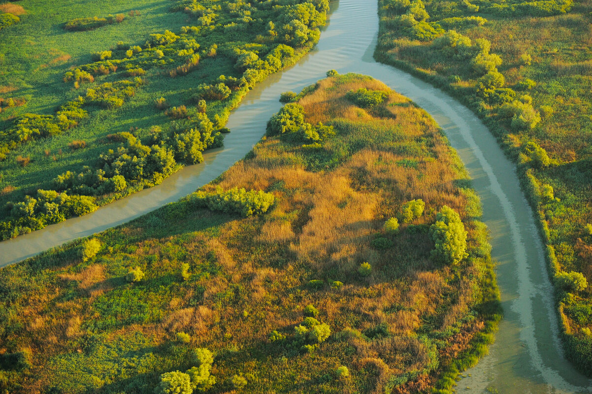 Aerials over the Danube delta rewilding area