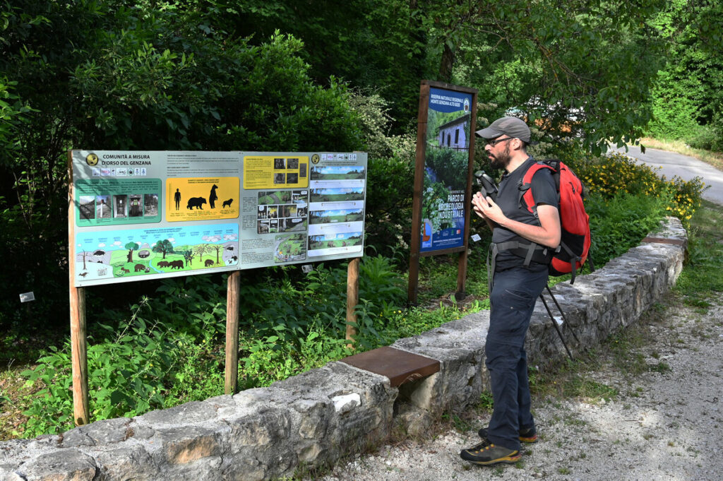 Tourist looking at an information panel about Marsican brown bears