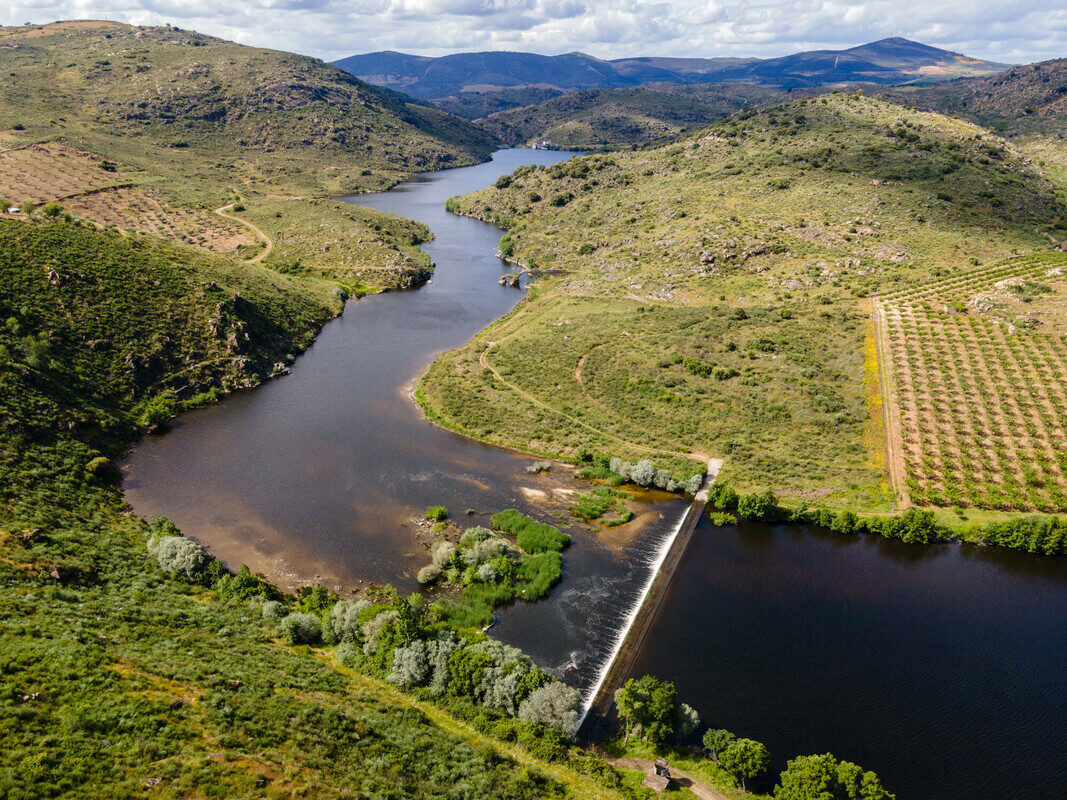 Drone image of agricultural fields in the Greater Côa Valley, Portugal.