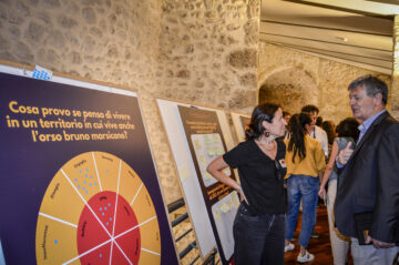 Emotions wheel exercise during the first LIFE Bear-Smart Corridors Workshop
