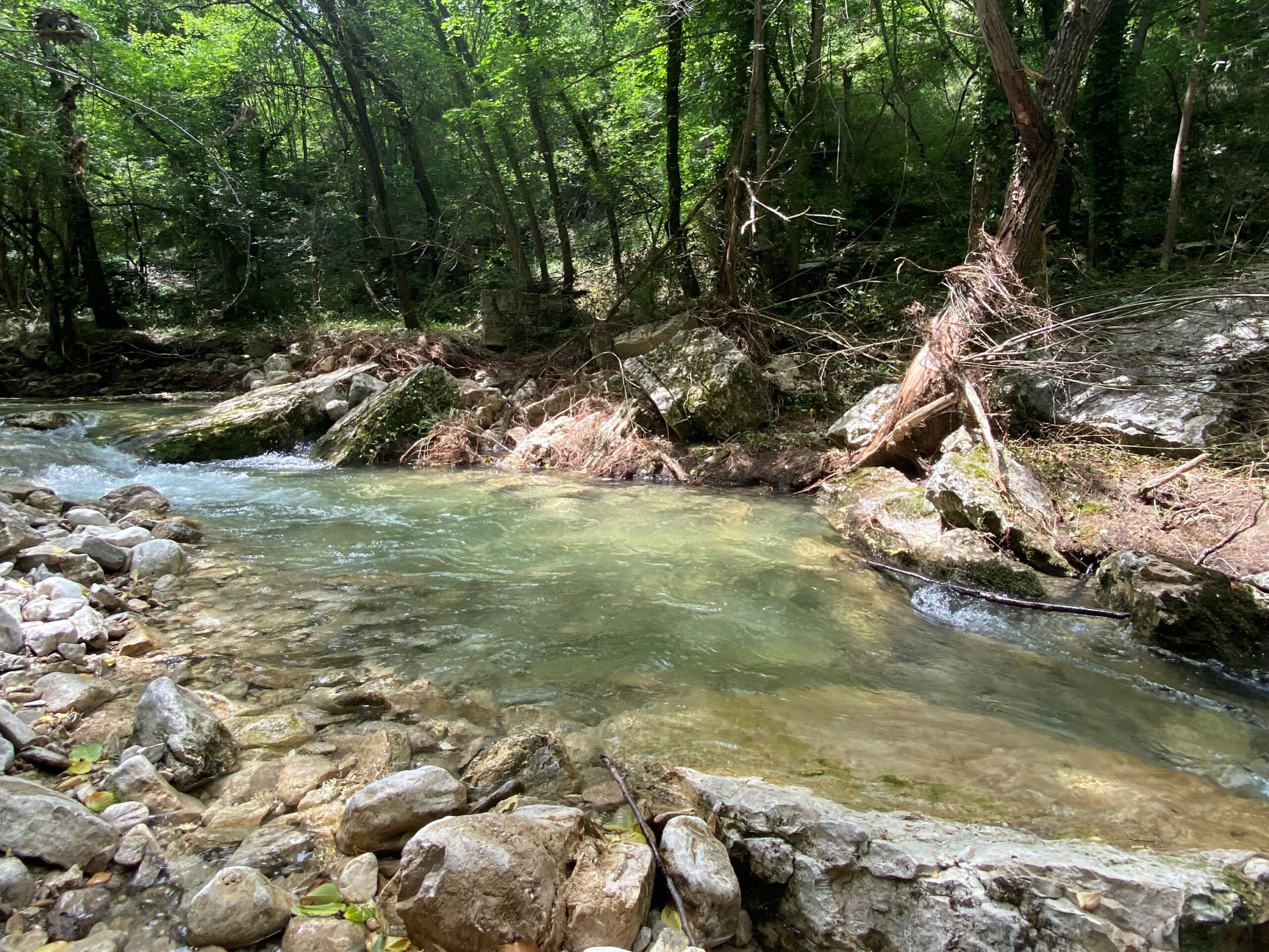 A positive feasibility study paved the way for the release of crayfish in the Gizio, Romito, and Verde rivers.