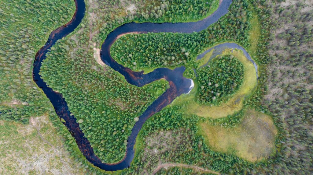 Torne Landscape, Swedish Lapland