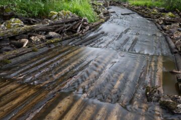 Wooding flooring in the river bedding of the Abramsån River