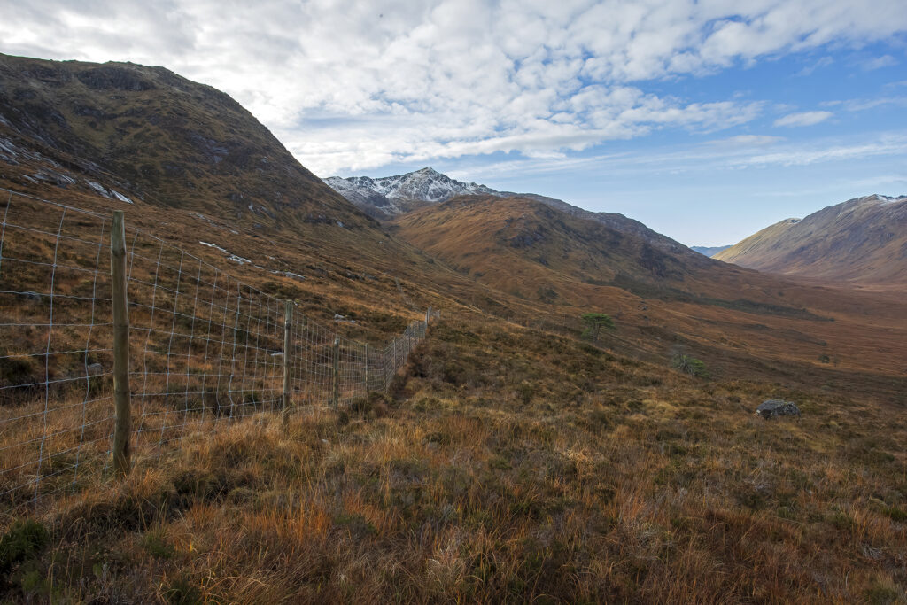 A deer fence along a Scottish Highland Glen