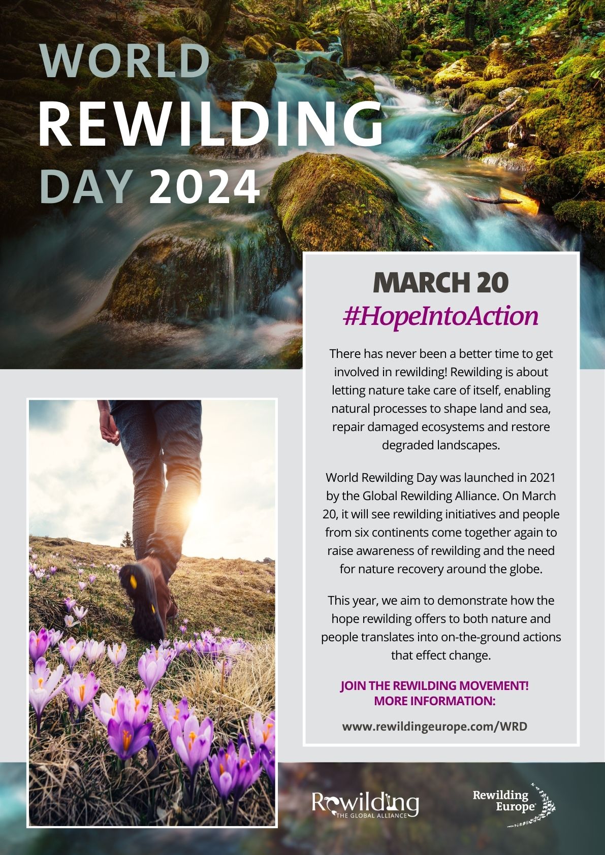 Hope Into Action - World Rewilding Day 2024 poster