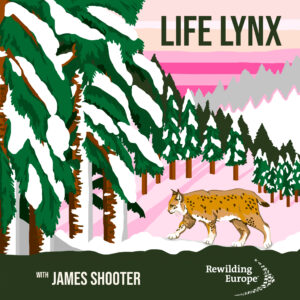The Rewild Podcast artwork LIFE Lynx Episode 11