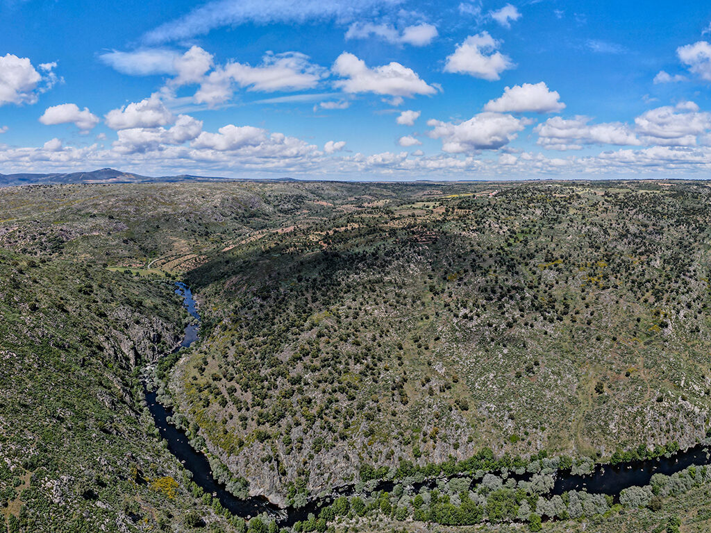 Drone image over a mountainous area in the Greater Côa Valley, Portugal.