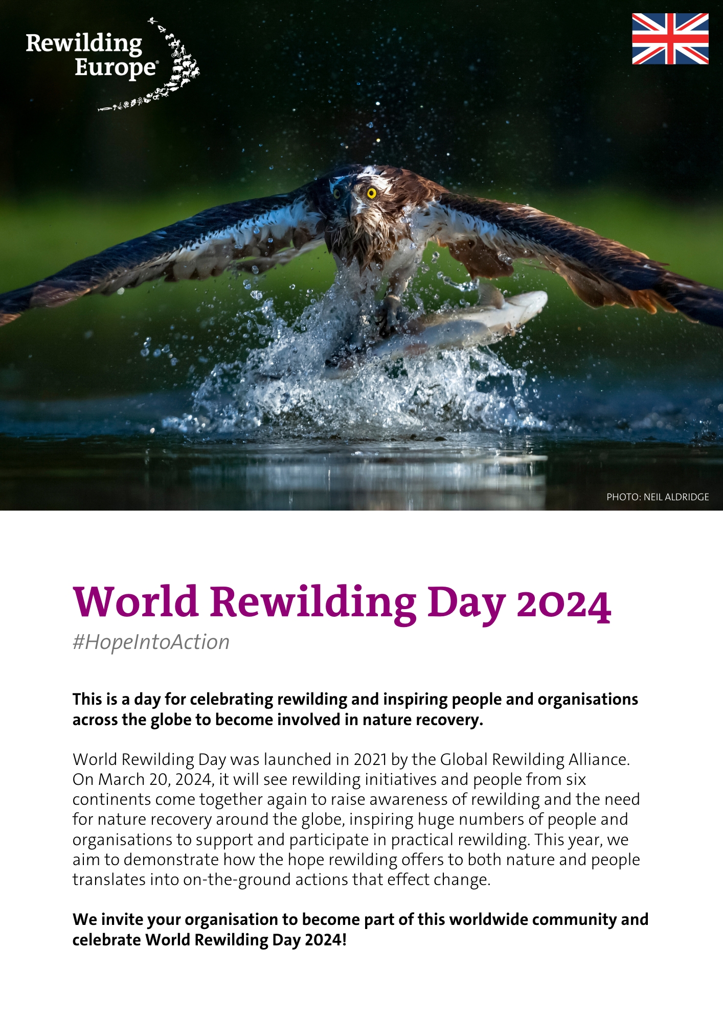 World Rewilding Day guidelines English