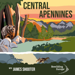 The Rewild Podcast Artwork Central Apennines Episode 12