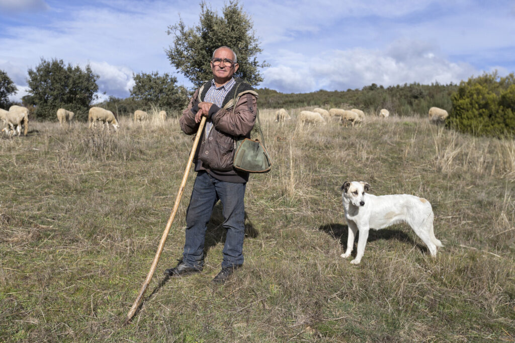 Shepherd and herding dog in Greater Côa Valley, Portugal