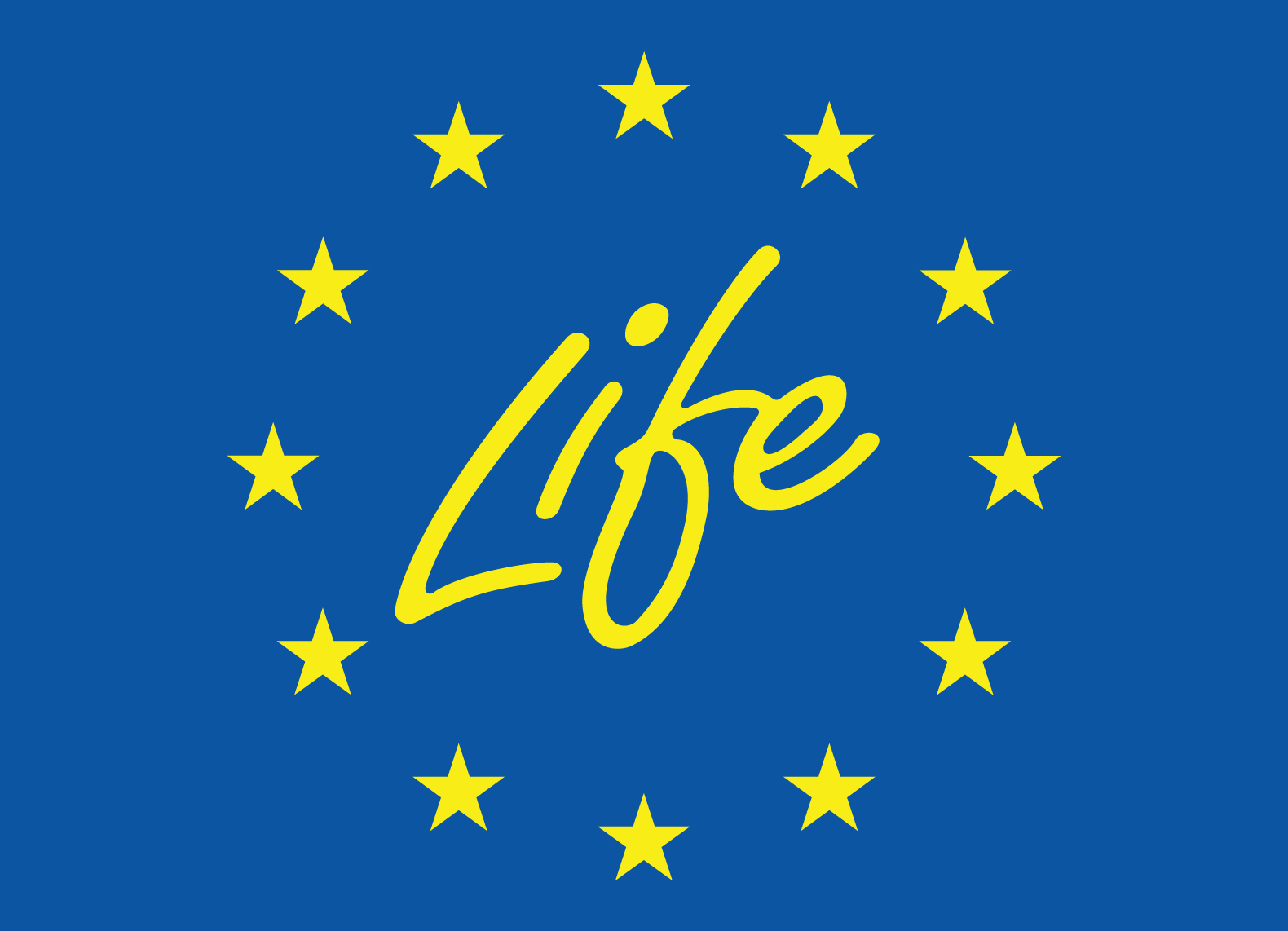 LIFE Programme Flag