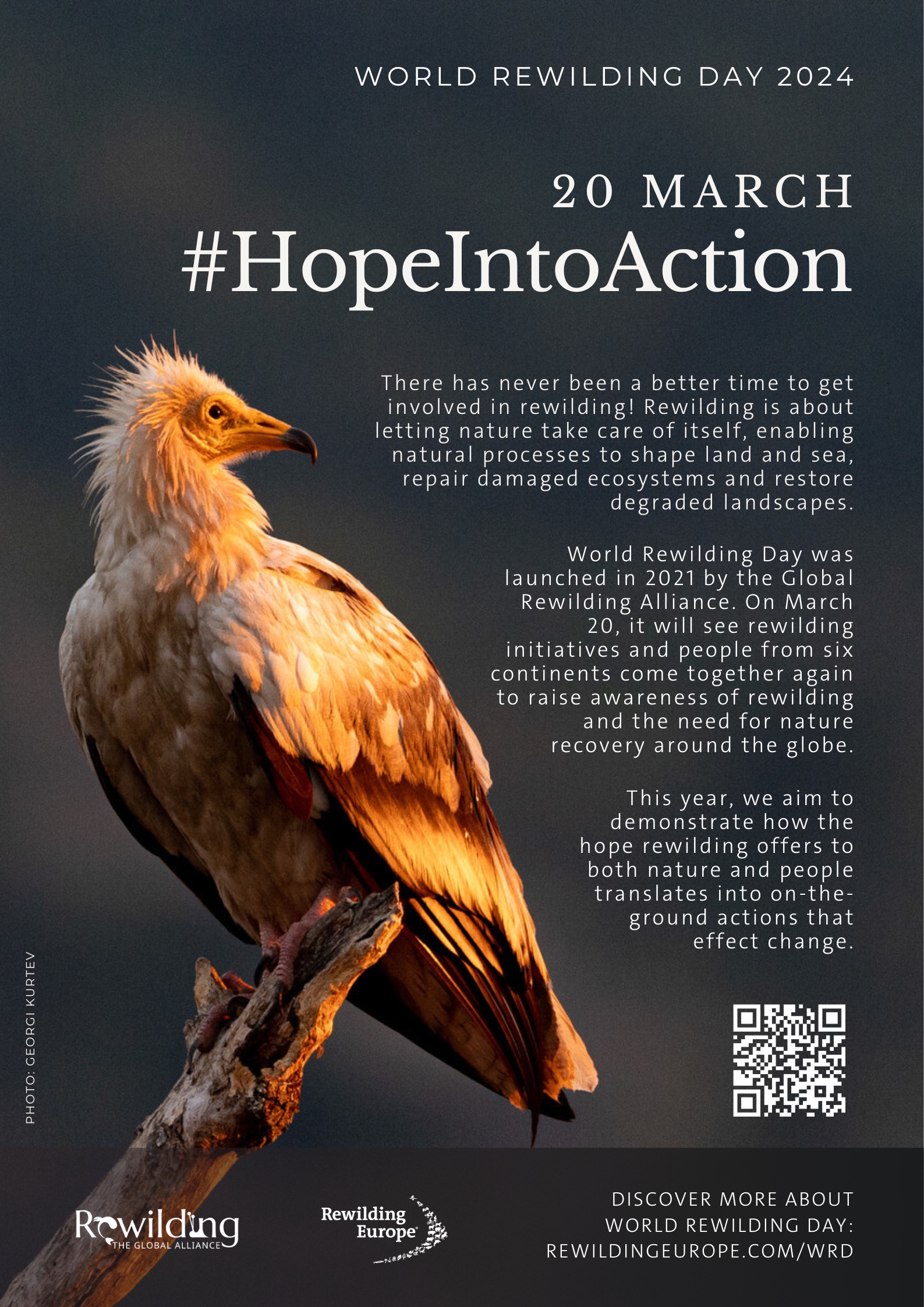 Hope Into Action - World Rewilding Day 2024 poster
