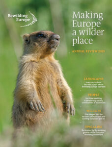 Rewilding Europe Annual Review 2023