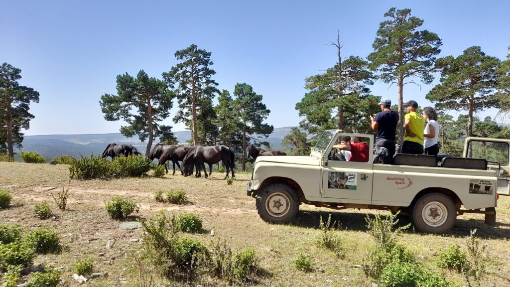 La Maleza Safari Tours in the Iberian Highlands, Tourists in Jeep