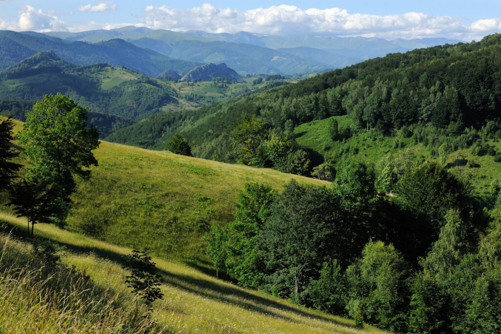 Domogled National park, Southern Carpathians, romania, Rewilding Europe site