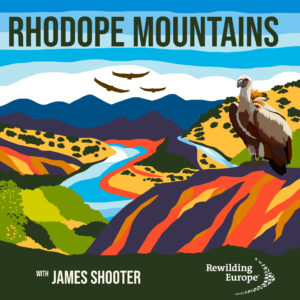 The Rewild Podcast, Episode 15 Rhodope Mountains