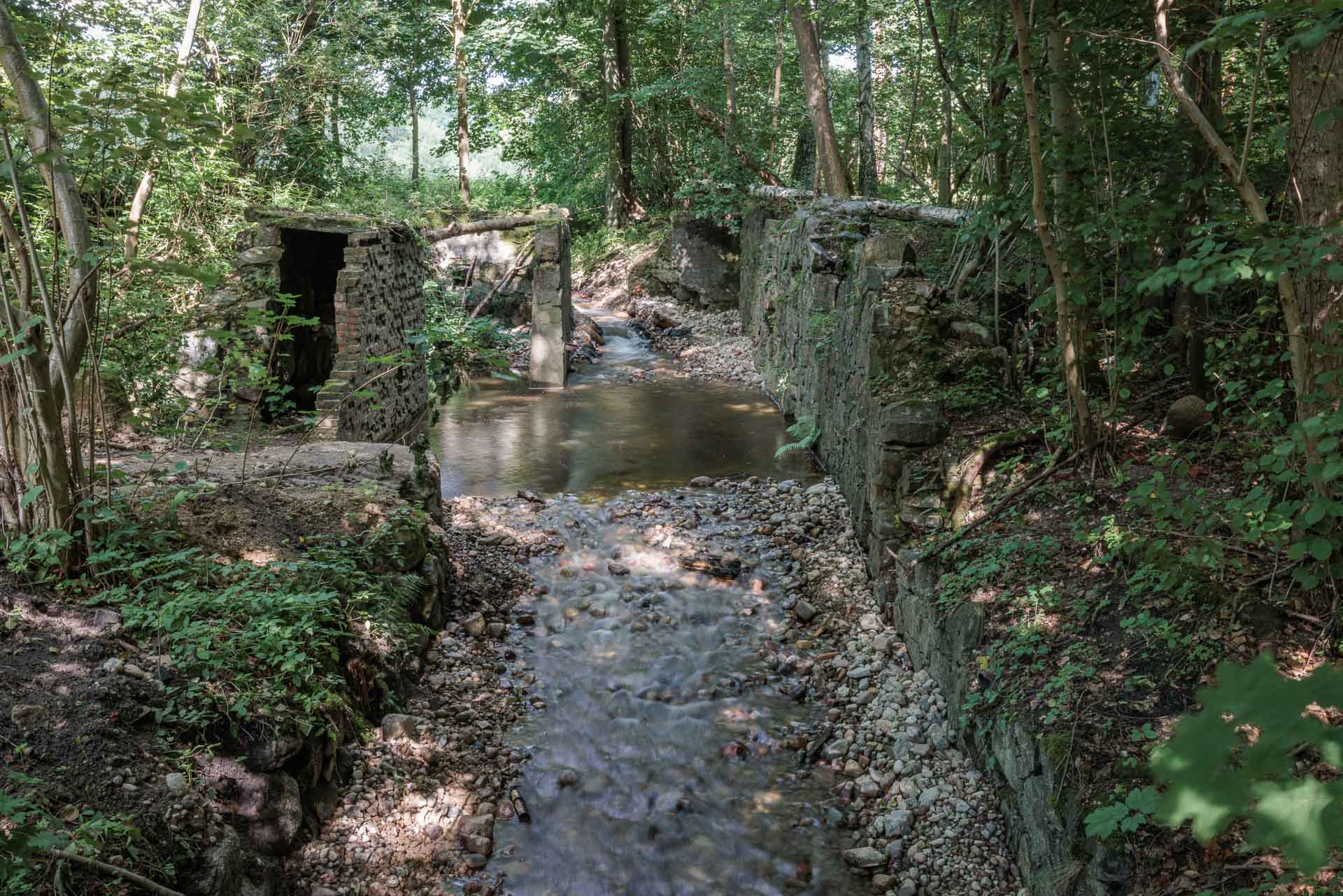 Weir removal in the Oder Delta. The place of operations after the intervention (ruins of the former mill in Bącznik)