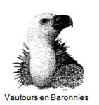 Vultures comeback in the Baronnies