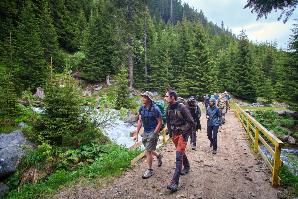 Hiking Retezat mountain area