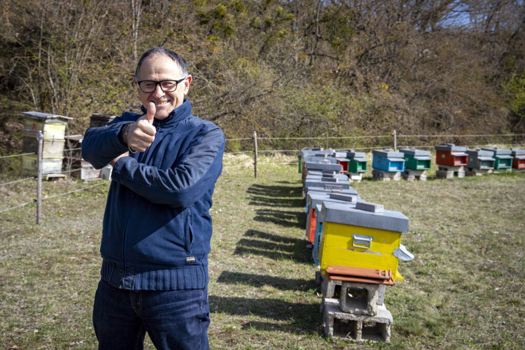 Local bee keeper with his fenced off beehives as protection measure against bear damage