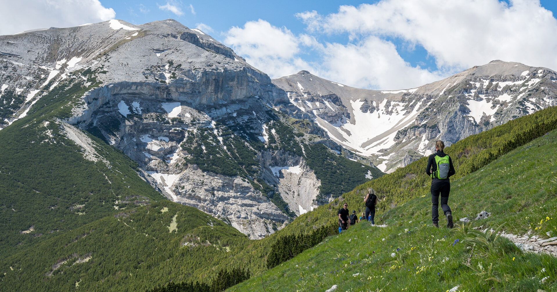 Rewilding Europe is helping nature-based businesses to thrive