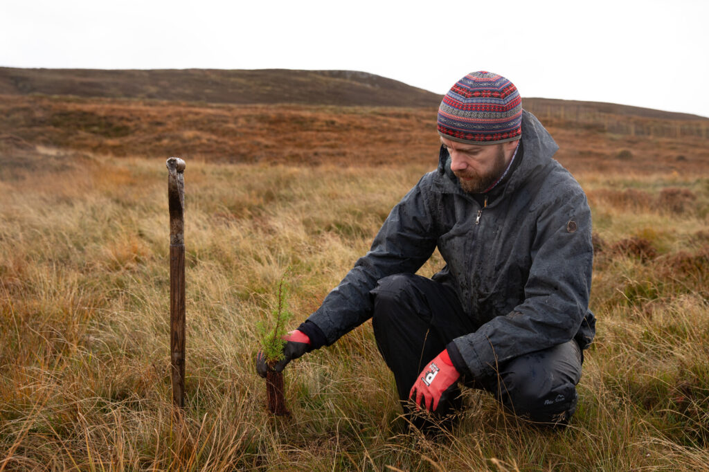 Tree Planting Corrimony Affric Highlands