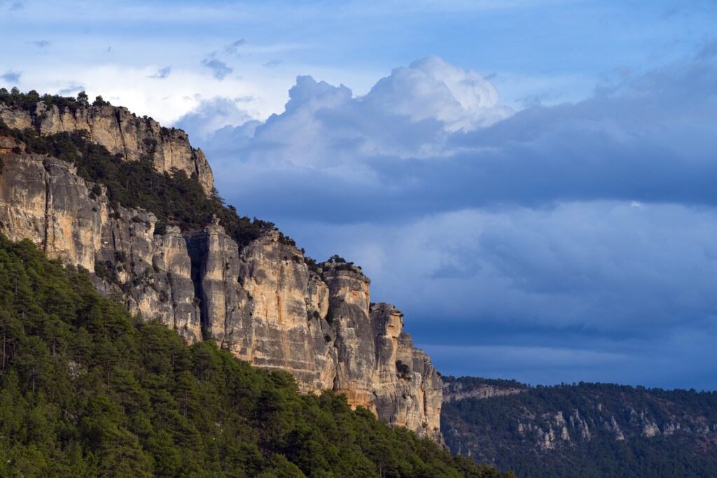 Landscape of rocks and forest in the Alto Tajo Natural Park. Molina Alto Tajo Geopark. Guadalajara. Castilla la Mancha. Spain. Europe. Rewilding Europe