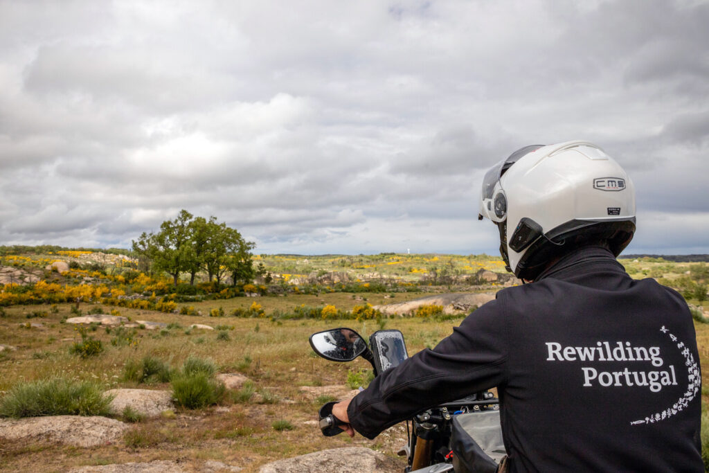 Member of the Rewilding Portugal surveillance team in Greater Côa Valley, Portugal.