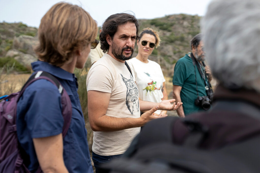 A herd of fifteen Tauros were released to roam approximately 600 hectares in the Ermo das Águias region of the Greater Côa Valley rewilding landscape. They join a herd of Sorraia horses.