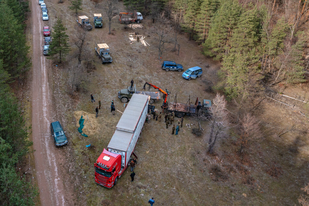 Bison release Zhenda, Rhodope Mountains, Bulgaria