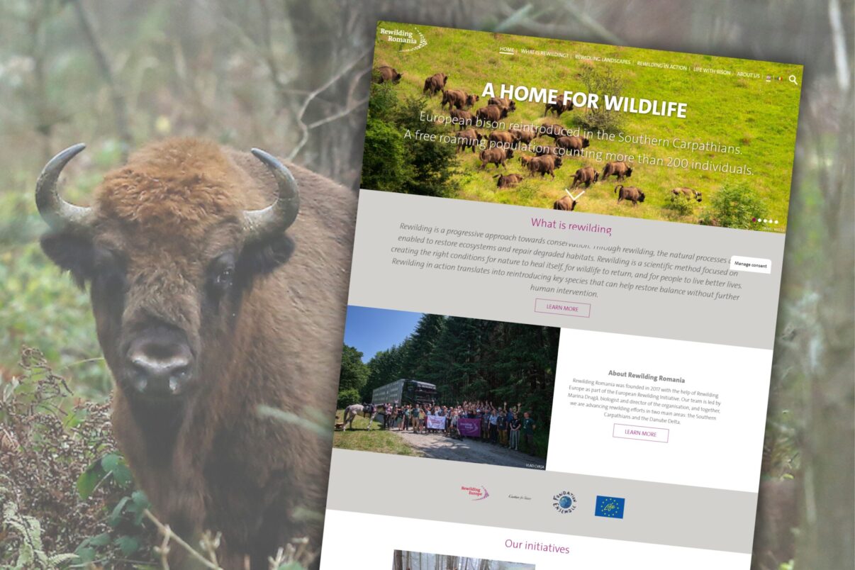 Rewilding Romania website launch