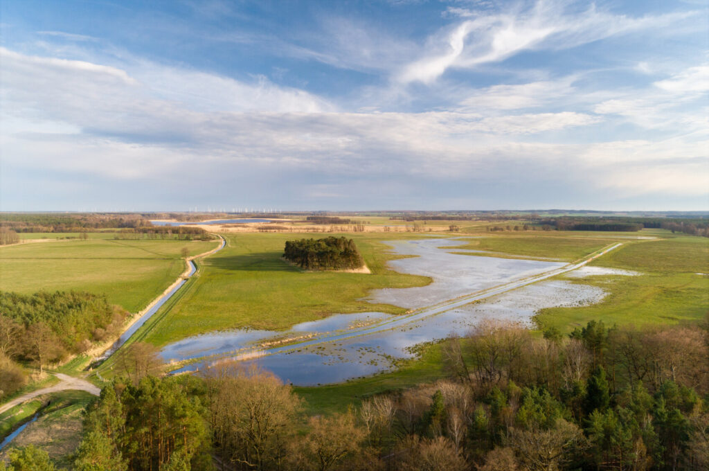 Aerial view of the flooded meadows along the Seegraben, a channel close to the villages of Uhlenkrug and Viereck. Rewilding Oder-Delta. Mecklenburg-Western Pomerania, Germany.