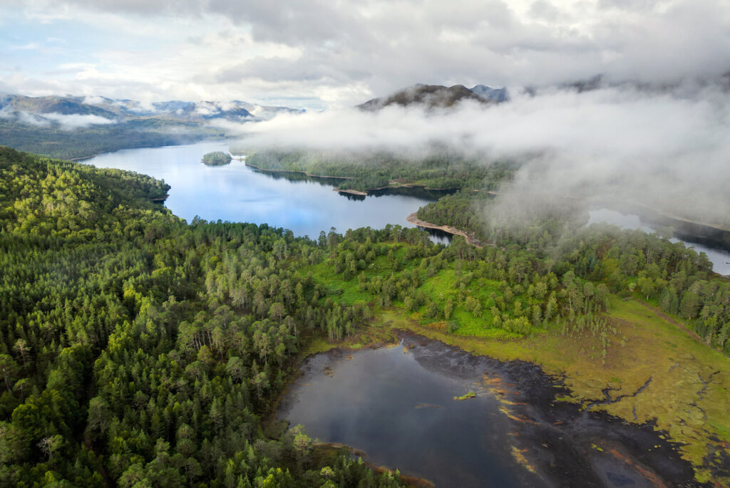 Mist lingers above loch beinn a mheadhoin and the Caledonian Forest of Glen Affric, Affric Highlands.