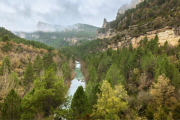 River, forests and cliffs in Iberian Highlands