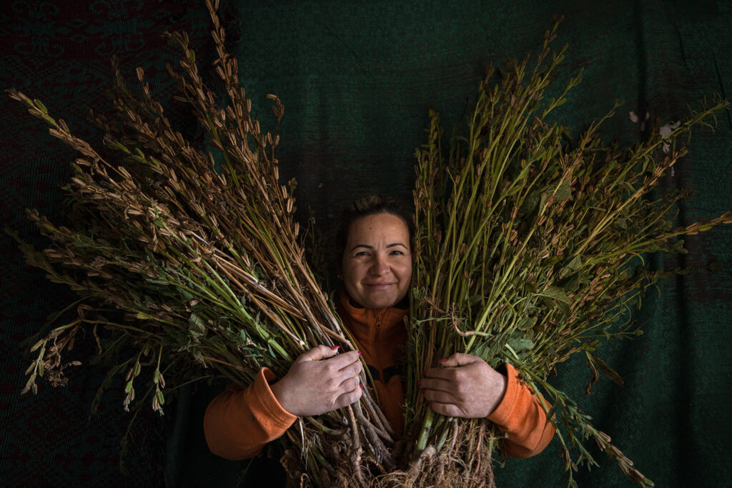 Tahini producers in Rhodope Mountains rewilding landscape