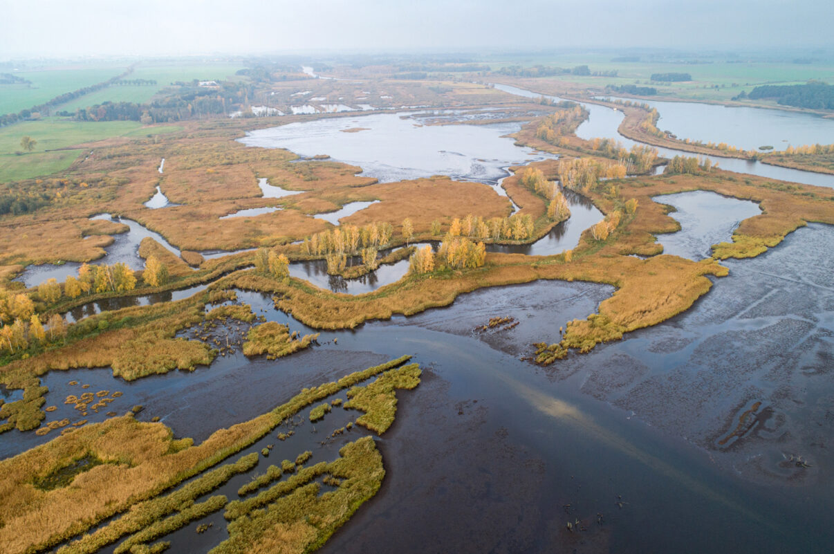 Aerial view of rewetted peat bogs and the Peene River in fall colours, west of the city of Anklam, Rewilding Europe Oder Delta, Mecklenburg-Vorpommern, Mecklenburg-Western Pomerania, Germany, October 2020