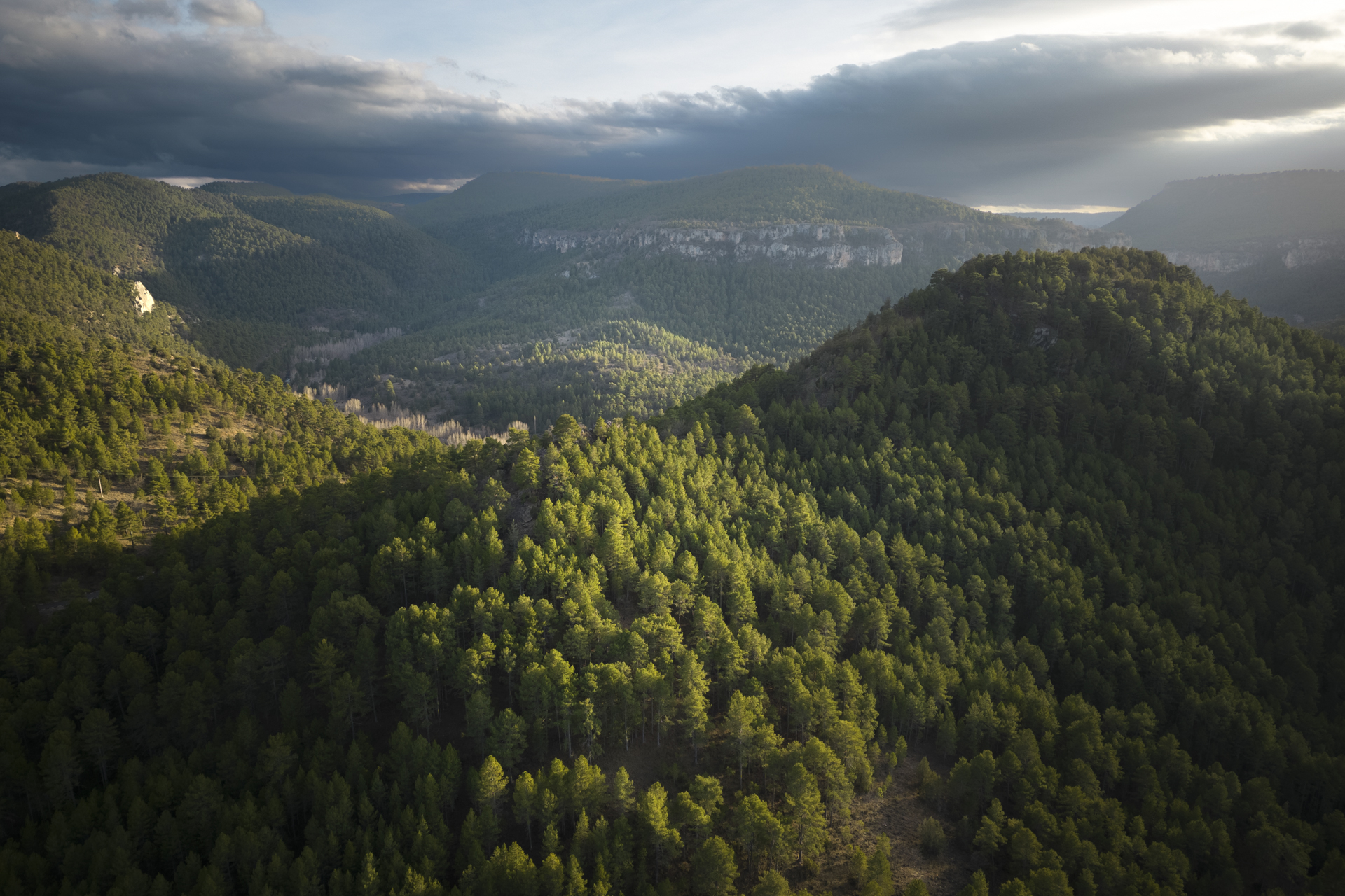 The Alto Tajo Natural Park in the Iberian Highlands.