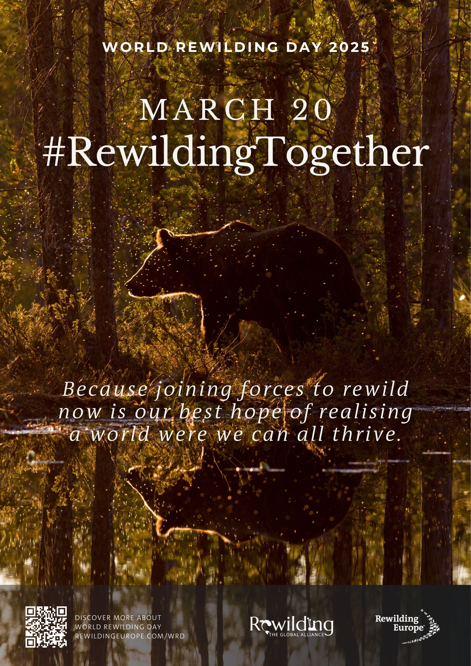 RewildingTogether - Poster World Rewilding Day 2025