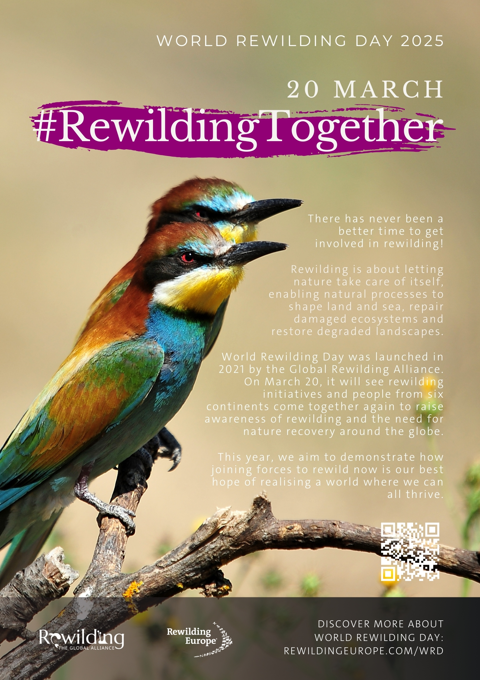 World Rewilding Day 2025 poster - Rewilding Together