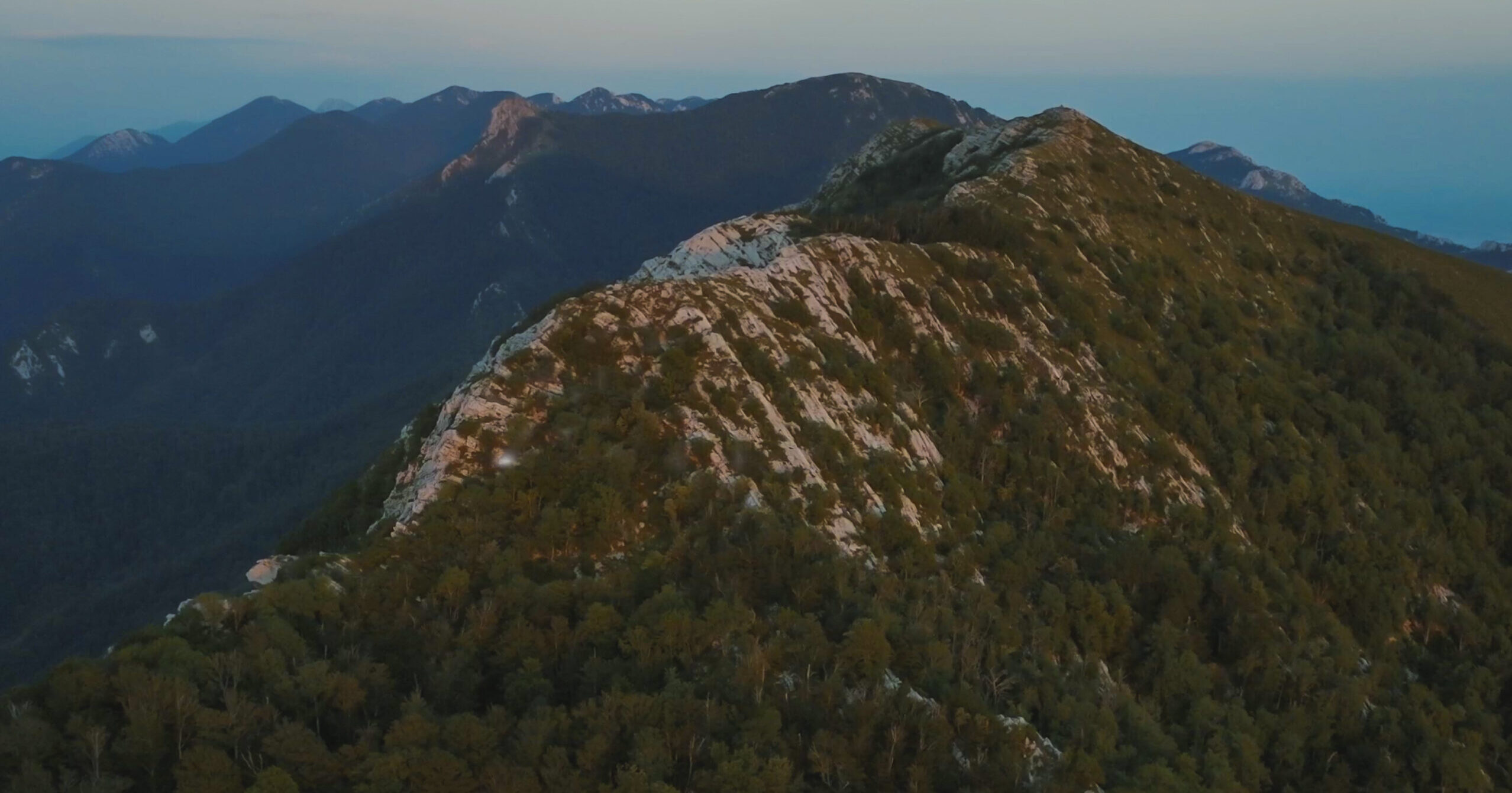 Hunters and rewilders share common goals in the Velebit Mountains