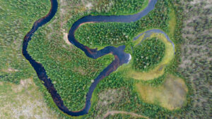 Oxbow lake in side channel of Torne river vreating peatland in old oxbow lake