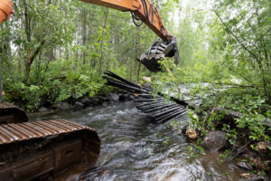 Rewilding Abrahamså river taking out wooden floors