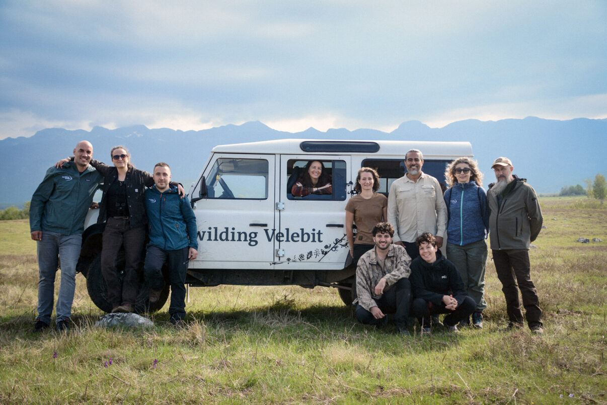 Rewilding Velebit, Rewilding Europe and Grazelands Rewilding teams in Lika Plains, Velebit Mountains