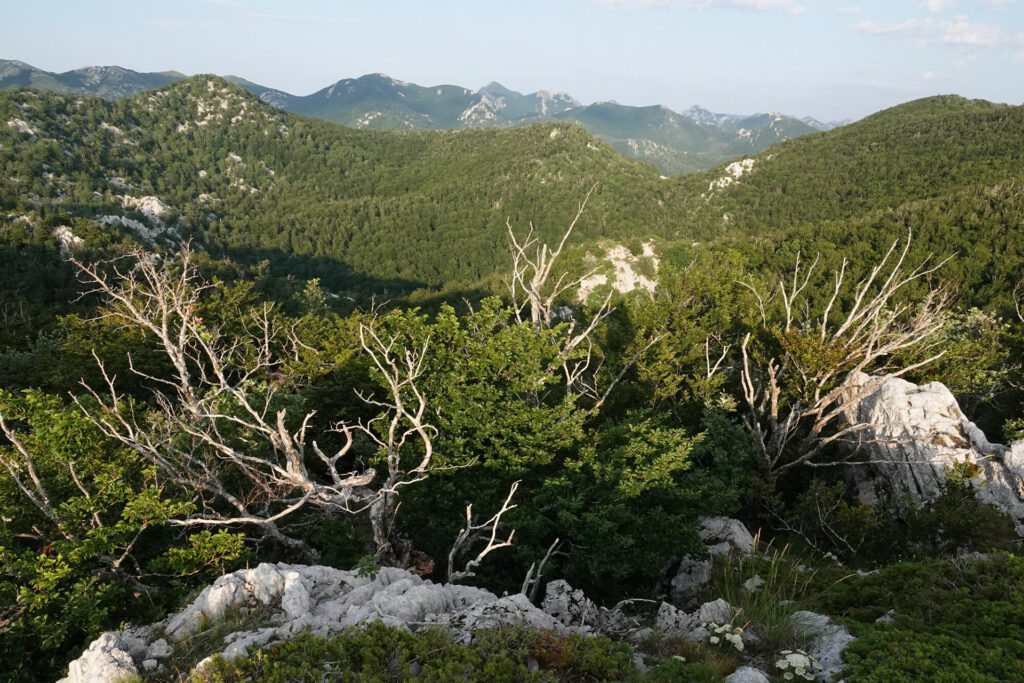 Landscape view Velebit Mountains