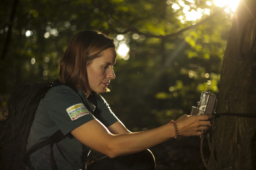Wiebke Brenner sets a camera trap in woodland in the Oder Delta landscape.