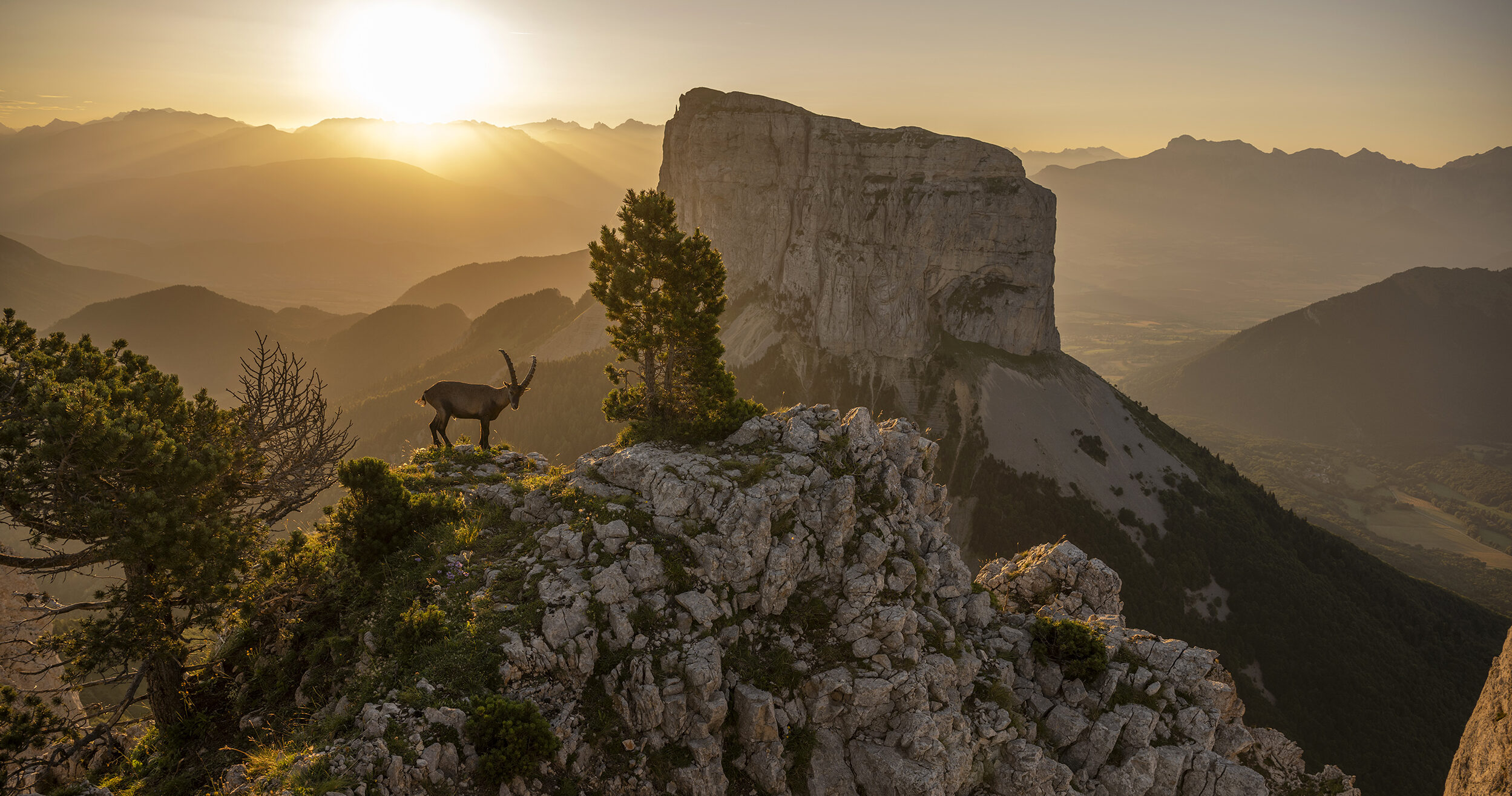 Protected: Rewilding Europe welcomes the Dauphiné Alps as its eleventh rewilding landscape