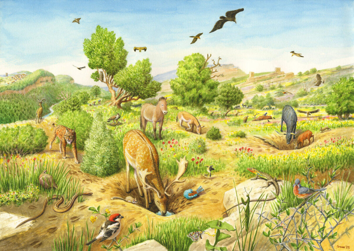 Vision illustration by Jeroen Helmer/ ARK Rewilding Netherlands